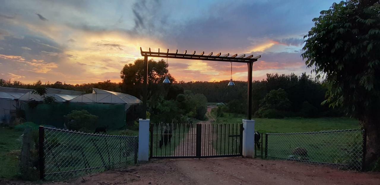Silvershine Homestay Chikmagalur Exterior photo